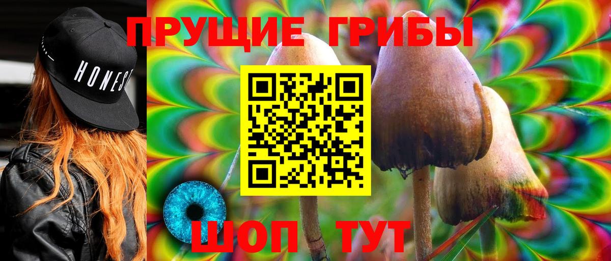 Псилоцибиновые грибы прущие грибы Воронеж