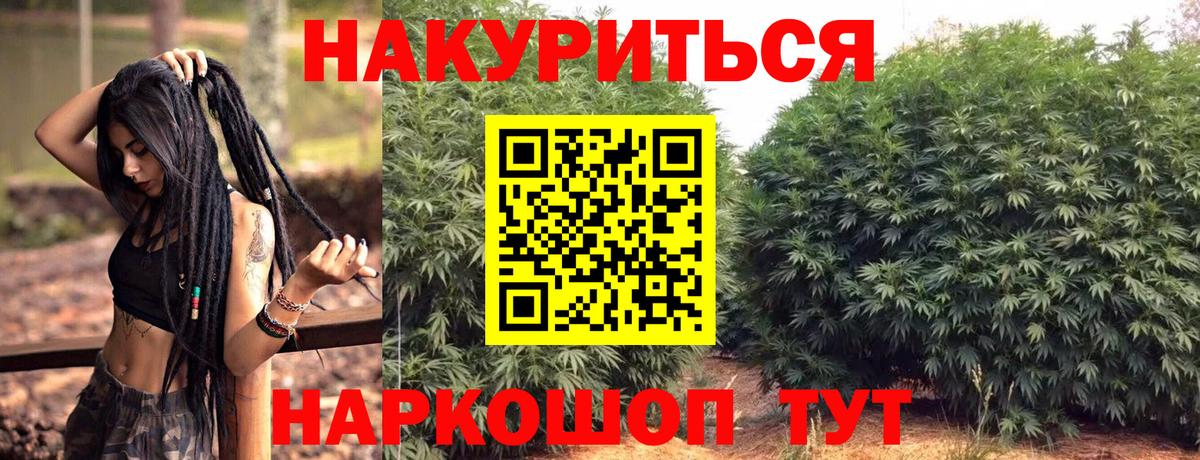 Конопля конопля Воронеж